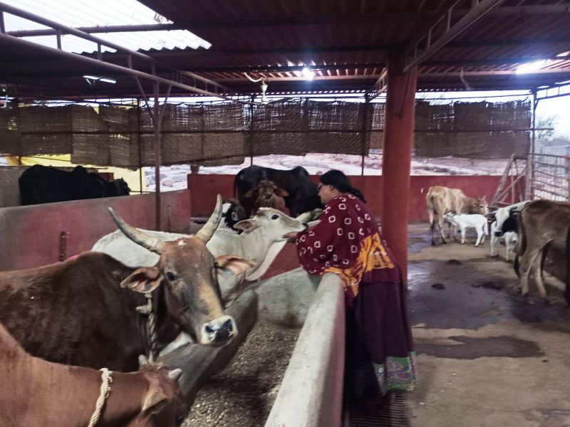 File:Image 2022-01-26 at 20.03.18 (1).jpeg