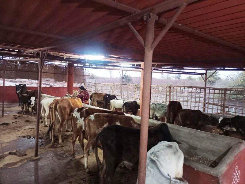 File:Image 2022-01-26 at 20.03.20.jpeg