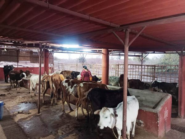 Image 2022-01-26 at 20.03.20 (1).jpeg