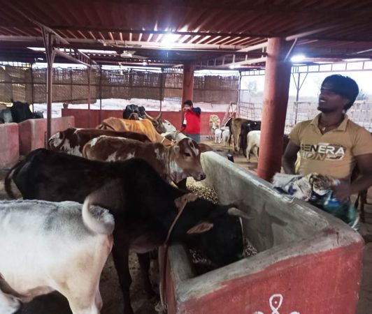 Image 2022-01-26 at 20.05.28.jpeg