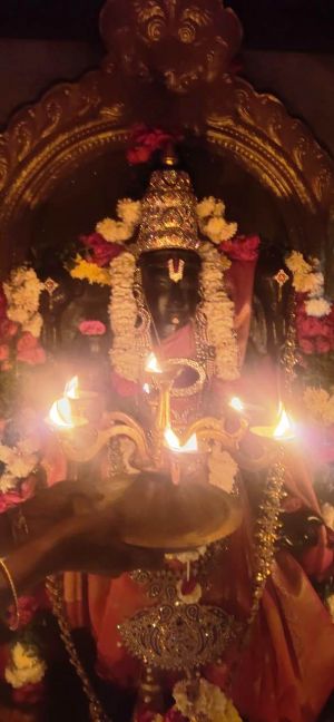 Image 2022-01-30 at 06.00.02.jpeg