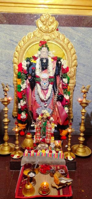 Image 2022-01-30 at 06.32.27.jpeg