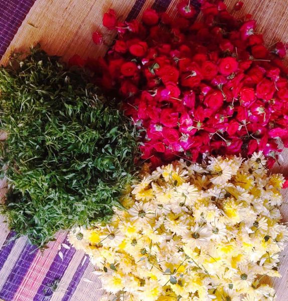 File:Image 2022-02-06 at 12.32.08.jpeg