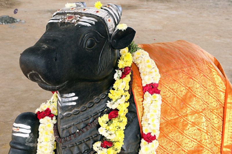 File:KAILASA-FAMILIA-PORTUGUESA--PORTUGAL-2018-01-30-10eERxi4ADwRF MsYYIeXDNjtIrPd43NU.jpg