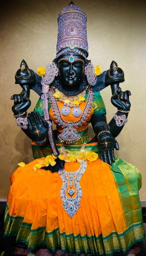 KAILASA-HOUSTON--USA-2022-01-13-1XnrIj9XmD Mvqe6BewyHyFoqFfYCCSBw.jpg