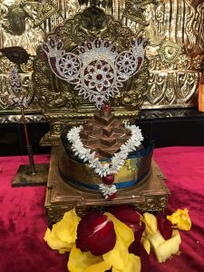 KAILASA-HOUSTON--USA-2022-01-13-1fo1GF49XwZ795SxhZGQ7 uzblgMwFLWk.jpg