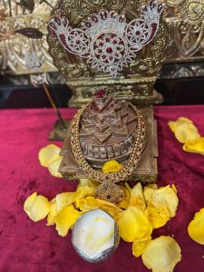 KAILASA-HOUSTON--USA-2022-01-20-1v-THfqsBi90I mE3nSHyV1 kqxvQj0Vu.jpg