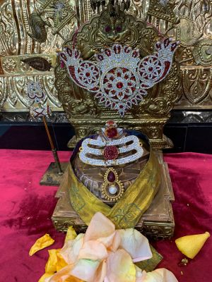 KAILASA-HOUSTON--USA-2022-01-29-18NeuIouV1nUSoUCiaackuGGgSbc VSkh.jpg