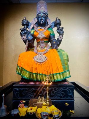 KAILASA-HOUSTON--USA-2022-01-29-1GSyM5spUPqFLOAMtXYHEq4Is4bQFIHqq.jpg
