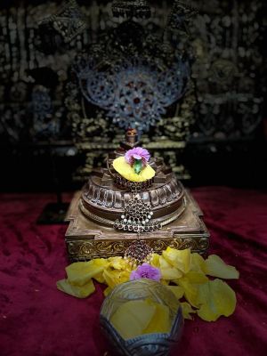 KAILASA-HOUSTON--USA-2022-02-03-1JEOYqPPpMKZG0FnO7J-EzxFWbw92KAC .jpg