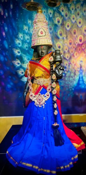 KAILASA-HOUSTON--USA-2022-02-21-15RFmH7nAmEVAp-AjmKCJOkmgvGmM4x7d.jpg