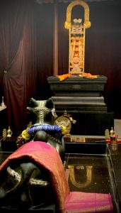 KAILASA-HOUSTON--USA-2022-03-01-197E0FnBMjzqSFx9 S-Oqn-c8-PATjDRn.jpg