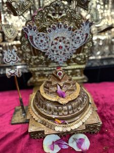 KAILASA-HOUSTON--USA-2022-03-22-1GiaWlxuJI4YR iw5EWRm2LYalGonIsuC.jpg