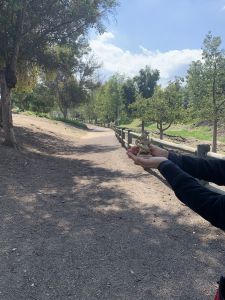 KAILASA-LATIN-AMERICA-2021-03-13-1hlK4cojFkZdBOpbR0PGpY ZlDwuLu206.jpg