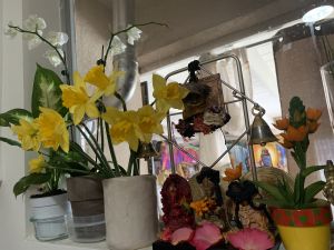 KAILASA-LATIN-AMERICA-2021-03-31-1FK3wkal svSfpGRP5Rv3 Y2oDjubIGQ .jpg