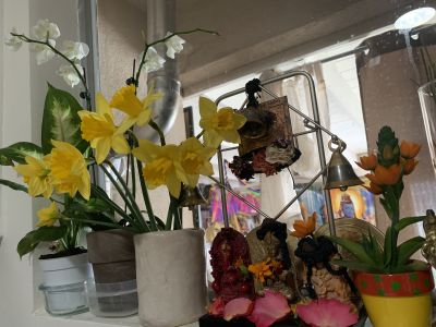 KAILASA-LATIN-AMERICA-2021-03-31-1FK3wkal svSfpGRP5Rv3 Y2oDjubIGQ .jpg