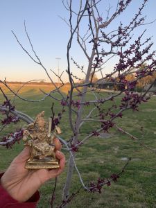 KAILASA-LATIN-AMERICA-2021-04-01-1WUSVuBR49kVIOkpCv RGbTfPyVX6El1I.jpg