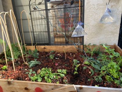 KAILASA-LATIN-AMERICA-2021-04-09-1nMgZ1qb18hIKZfBoi IB7TLttxsOhQyV.jpg