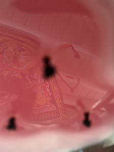 KAILASA-LATIN-AMERICA-2021-05-16-1KpZTGHzN1 ItrpcQw7ba I2U9BKNi0mG.jpg