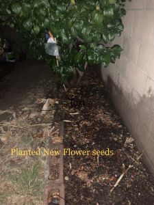 KAILASA-LATIN-AMERICA-2021-05-25-1YwK9EsdNAIoOQ8ESKf loldoDJR-QXB4.jpg