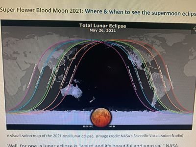 KAILASA-LATIN-AMERICA-2021-05-25-1nWwcWXcbrBCWY265Ke9M04IrykVruh P.jpg