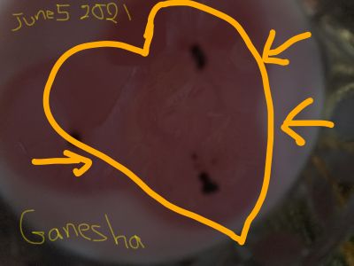 KAILASA-LATIN-AMERICA-2021-06-05-1tze-Qx5LEg5glUVxdZrCf rD2k8pp1-L.jpg