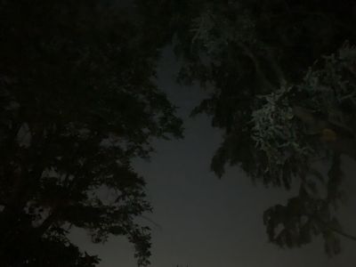 KAILASA-LATIN-AMERICA-2021-06-09-1FJP0JVpn7 zcFrlnvbcgahMFGhS0b2VC.jpg