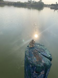 KAILASA-LATIN-AMERICA-2021-06-16-1u0E jLfLrm 0WcB0HOi4Kx3SlDHR9lT3.jpg