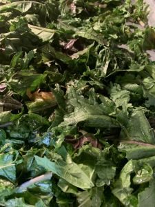 KAILASA-LATIN-AMERICA-2021-06-18-17tiJzBdCNLNmLTl7 jdp07O3Q2UHfWxC.jpg