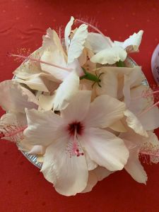 KAILASA-LATIN-AMERICA-2021-06-18-1ylT5uRActAGJn4FtgzwArlU gAi7Wpeu.jpg