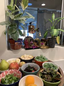 KAILASA-LATIN-AMERICA-2021-06-19-12AhmeY8V2jKOQo06jImwgzpKyW q3o79.jpg