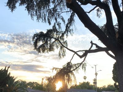 KAILASA-LATIN-AMERICA-2021-06-22-1rD2FlS4qEB18 QB3ahKZ5PDmHivRK ES.jpg