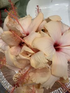 KAILASA-LATIN-AMERICA-2021-06-25-1iH FumUtRtboCFm6XD4FOAIznpUNHlZD.jpg