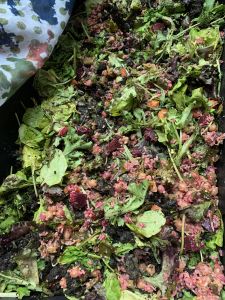 KAILASA-LATIN-AMERICA-2021-06-28-1L58kPb0U ex3tC1goYt8dYN2PJXpSARN.jpg