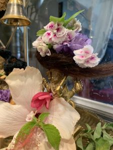 KAILASA-LATIN-AMERICA-2021-07-04-1A3ZmhbRqAE0vvRXXNvGUs8oPFd oTTwb.jpg