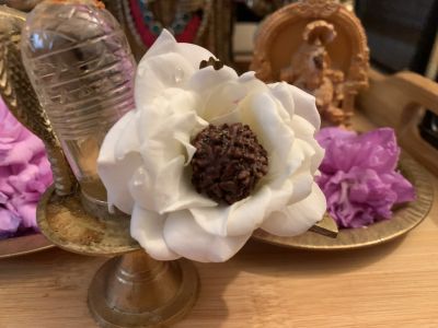 KAILASA-LATIN-AMERICA-2021-07-12-145RDbLym2q8U9NFj8-Rt S35JaHhLA3f.jpg