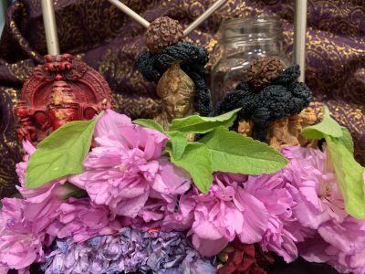 KAILASA-LATIN-AMERICA-2021-07-24-1uRlOCWrub9 dmPyEew5ehkgHJTqtMt2M.jpg