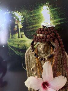 KAILASA-LATIN-AMERICA-2021-08-27-1LPDXNKL97SpzI8Ny3lHZagu FgcLUZnQ.jpg