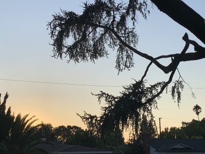 KAILASA-LATIN-AMERICA-2021-08-27-1OUoGRjkQ1B2tCnobrqrE6GV-bOBm To-.jpg