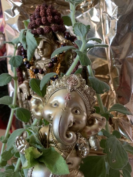 File:KAILASA-LATIN-AMERICA-2021-09-04-1pdAgZNaz9tsskPdBFdNpvW-6uyDC72yL.jpg