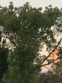 Thumbnail for version as of 18:08, 11 September 2021
