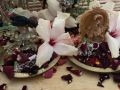 Thumbnail for version as of 00:34, 11 December 2021