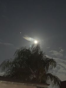 KAILASA-LATIN-AMERICA-2021-09-17-1BvlcvRKNj-JfaZT5mFlyMnSshejvT U.jpg