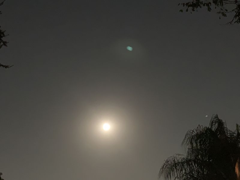 File:KAILASA-LATIN-AMERICA-2021-09-21-1U-Z8hU5wRQjJzu581RVIMElv1F40SZfs.jpg