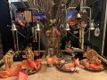 Thumbnail for version as of 01:04, 11 December 2021