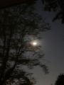 Thumbnail for version as of 01:04, 11 December 2021