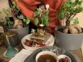 Thumbnail for version as of 01:14, 11 December 2021