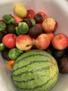 KAILASA-LATIN-AMERICA-2021-09-27-11z6MK1ToLVhyjdoFHV8dY CrcMF76Kg0.jpg