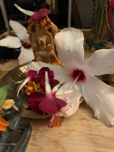 KAILASA-LATIN-AMERICA-2021-09-30-11ih57sc2BPwia0Gkid0bBu7v1hfg 3W7.jpg