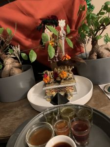 KAILASA-LATIN-AMERICA-2021-09-30-16wC8r3fp1Imxuq-8 nQJmFWaLNM2oKlX.jpg